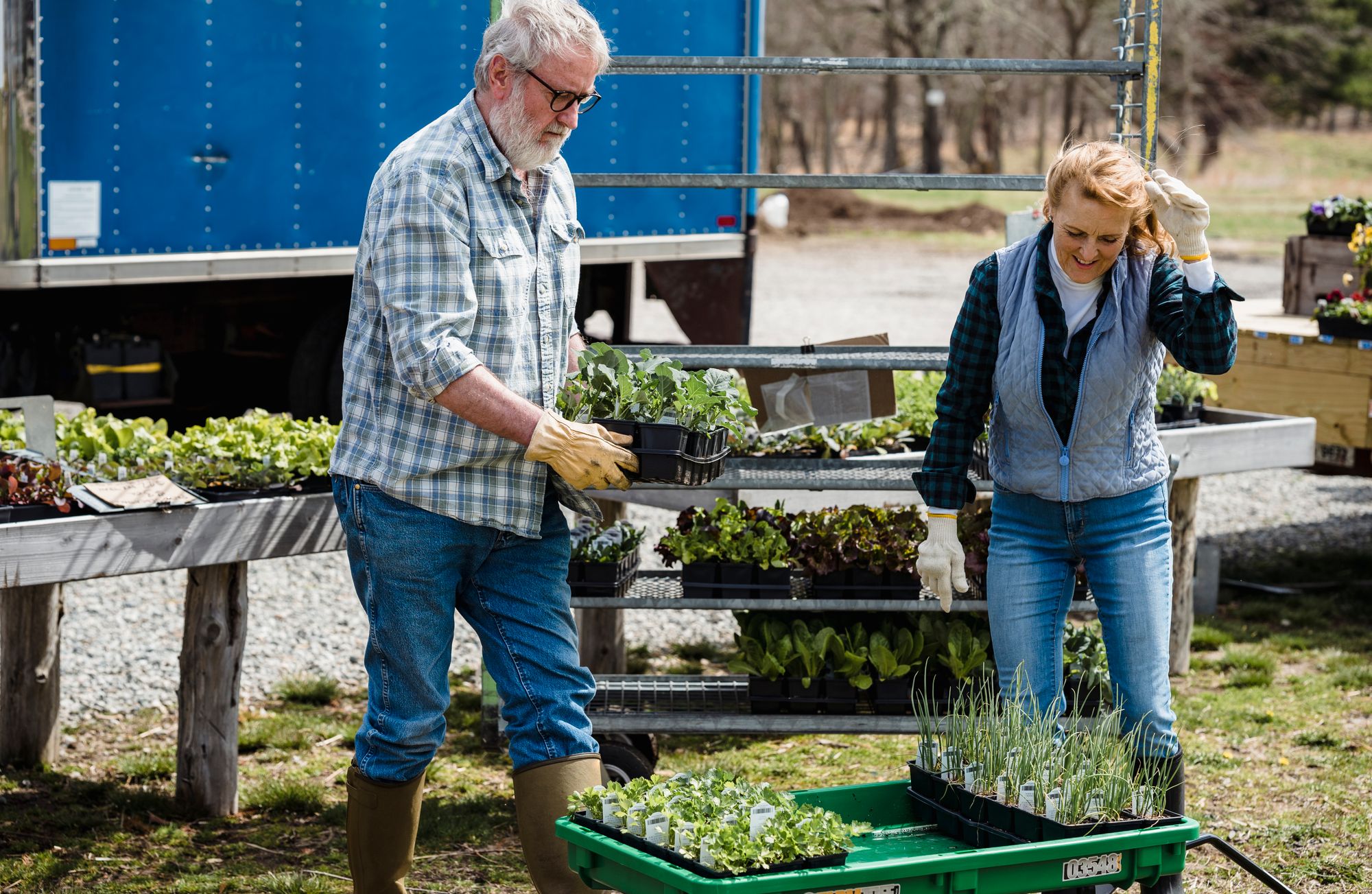 Farm partners working beside a delivery truck and trays of young plants