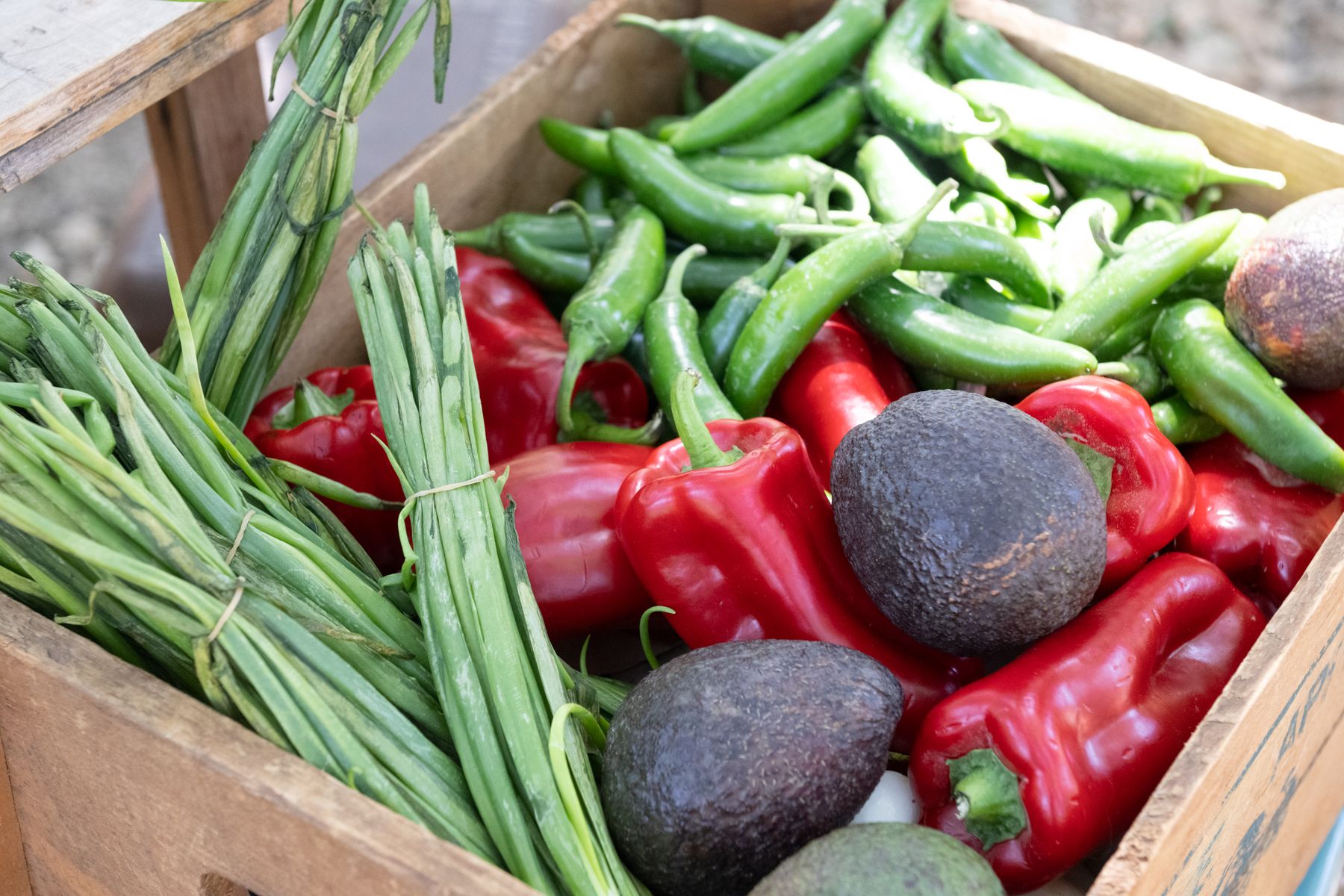 A selection of fresh vegetables ready for handling
